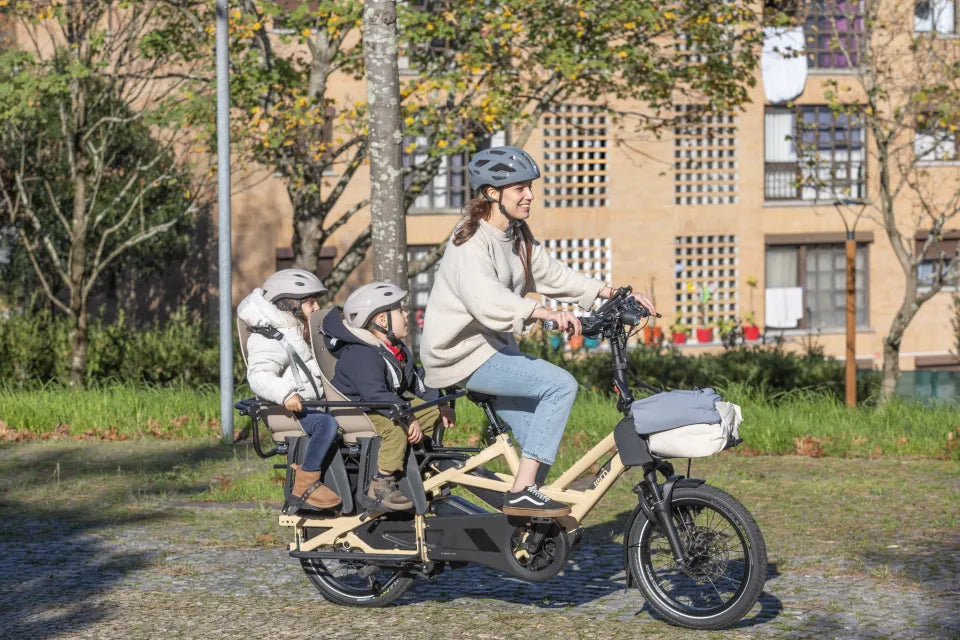 Best Electric Bikes with Passenger Seating