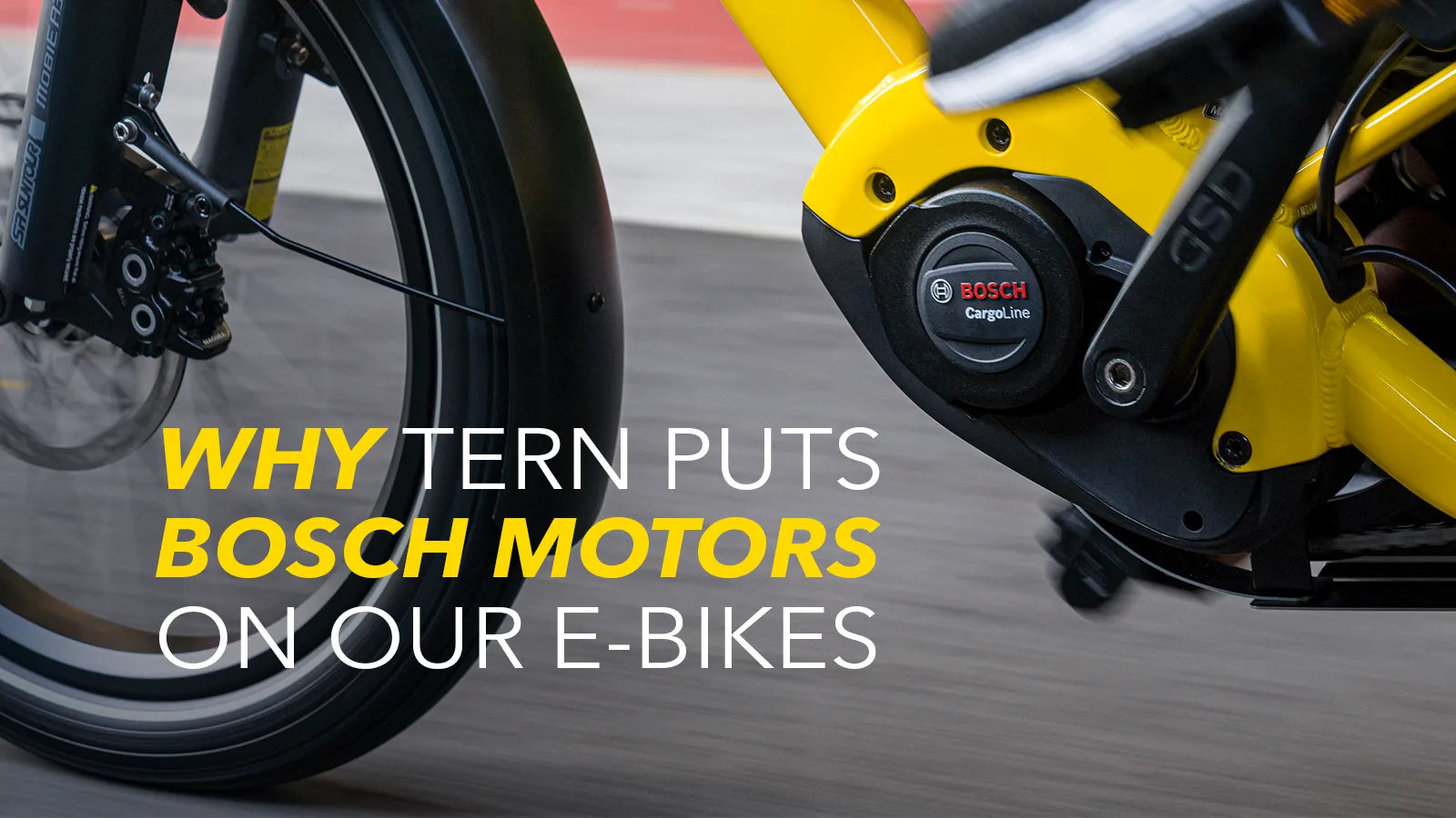 Why We Use Bosch E-Bike Systems