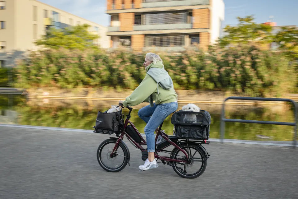 Woman riding Tern Quick Haul e-bike with dog on the back