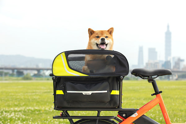 Tern e-bike with dog on the back